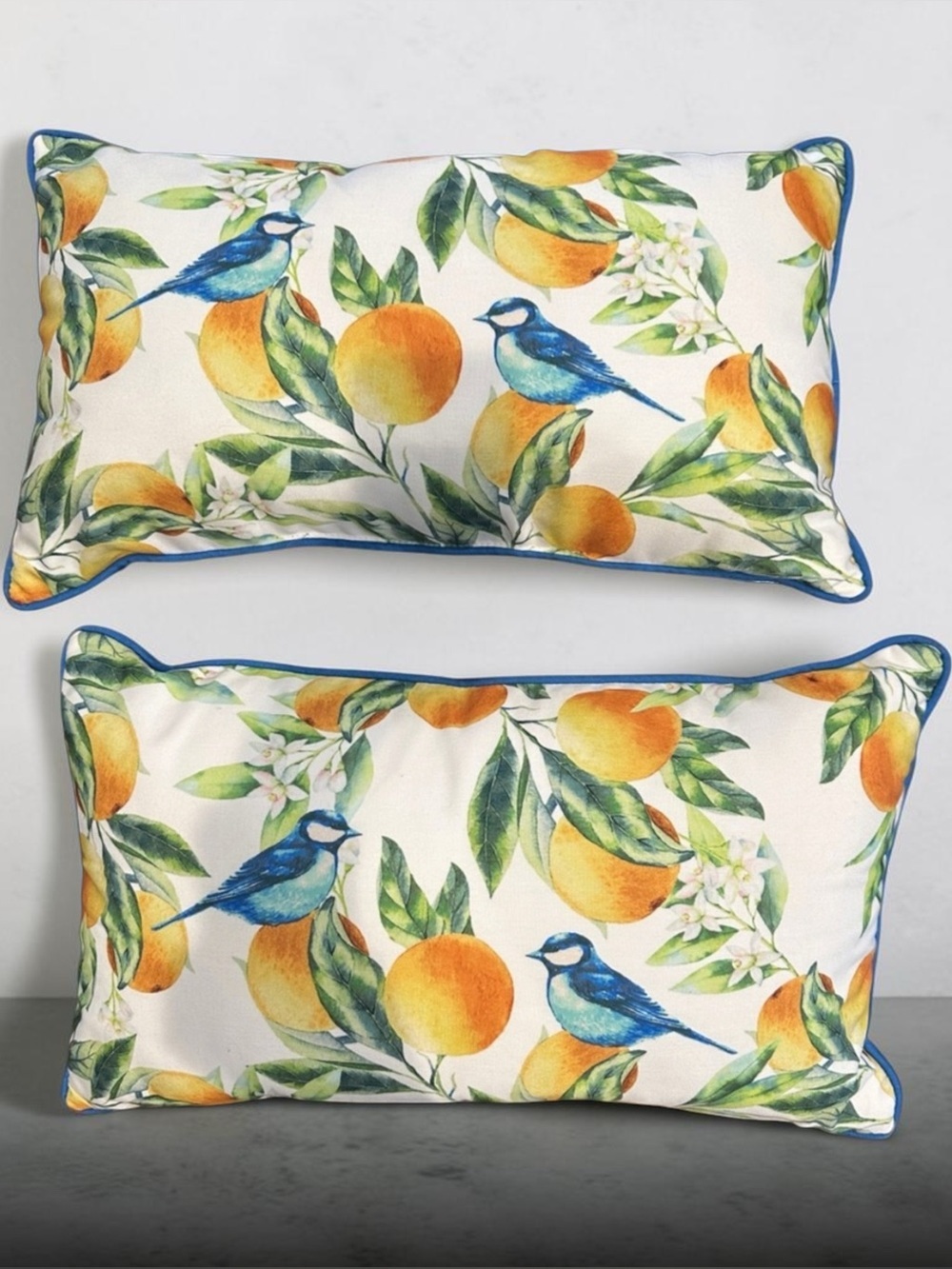 Set of 2 Blue Bird & Orange Print Lumbar Pillows